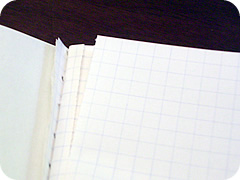 オリジナルデザインのツバメ大学ノート Thinking Power Notebook